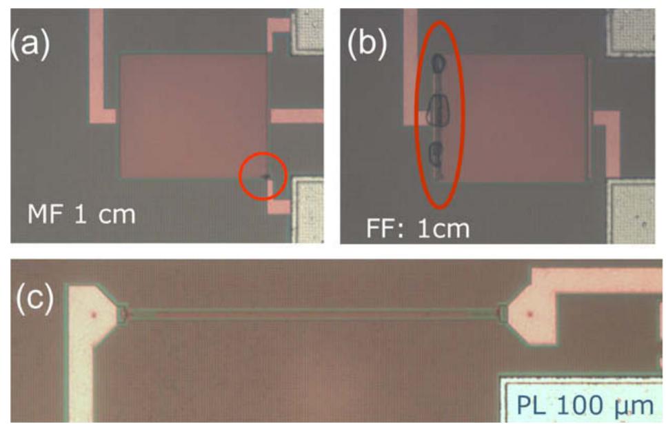 Top-down optical microscope images of mf (a), ff (b) and pl
