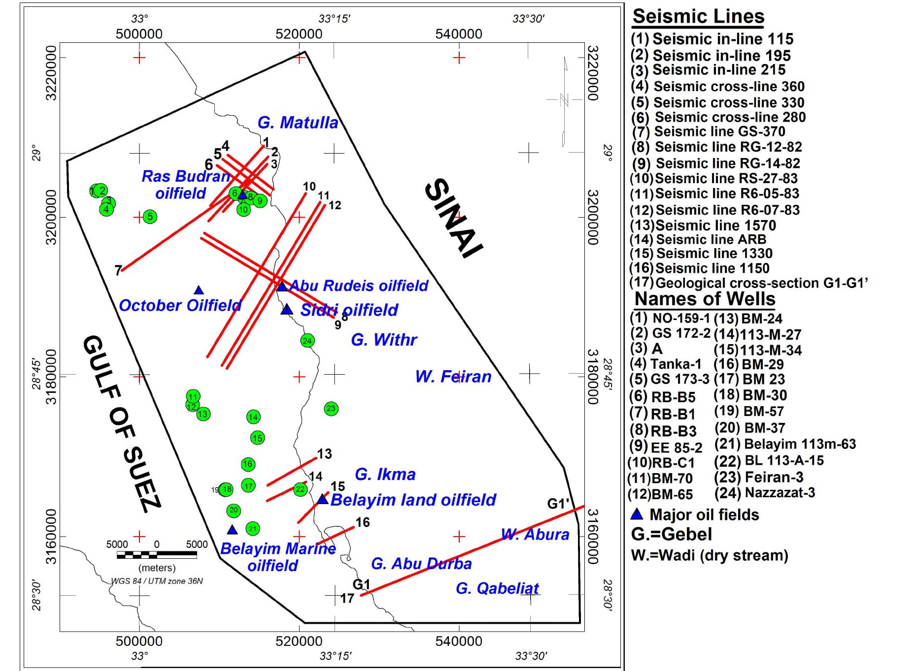 Location map of wells and seismic sections used in the model