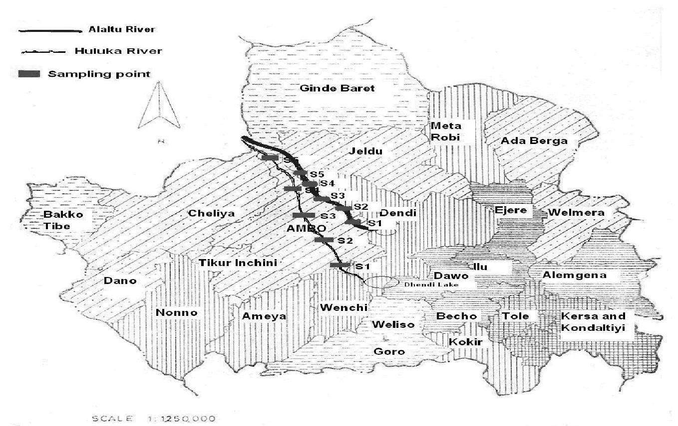 (PDF) Assessment of Water Quality of Huluka and Alaltu Rivers of Ambo ...