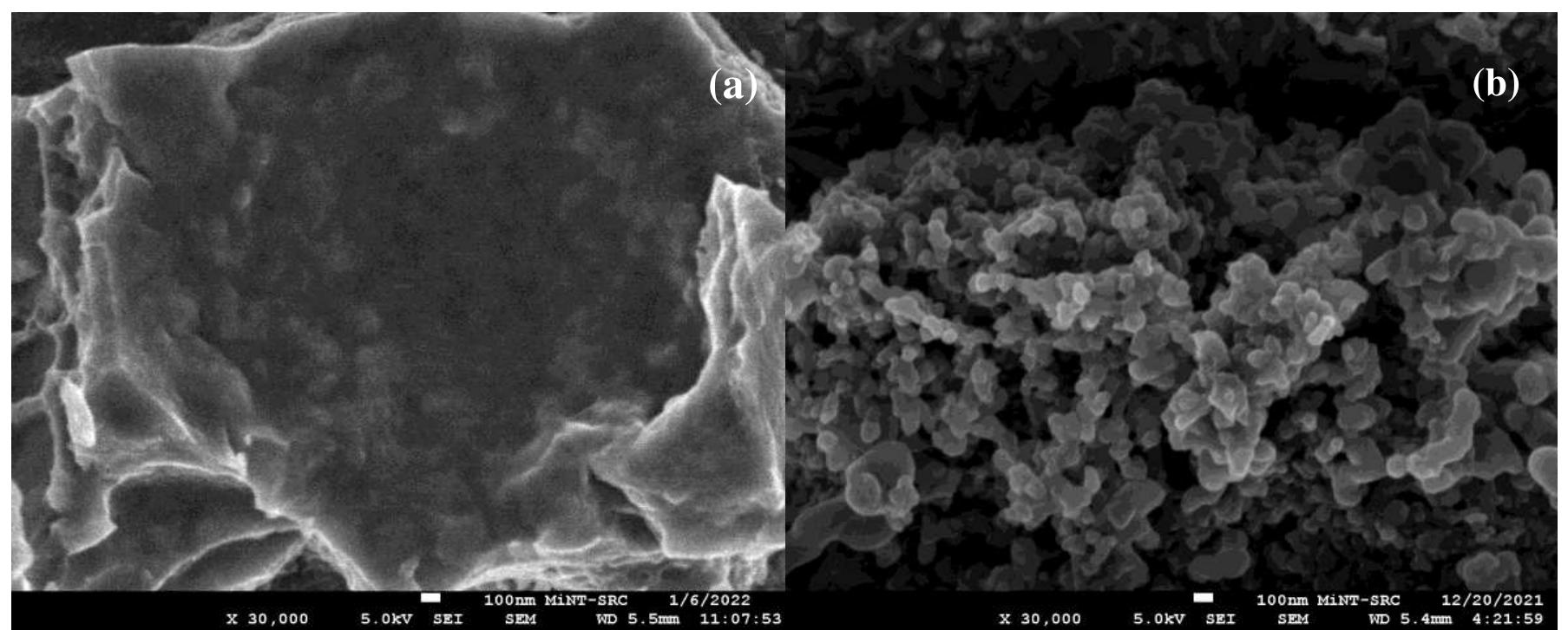 Fesem image of: (a) surface morphology of tio2 with