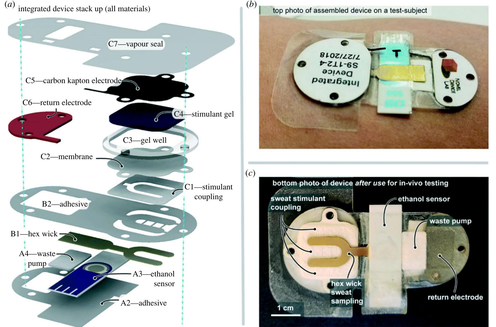 (PDF) Wearable flexible sweat sensors for healthcare monitoring: a review