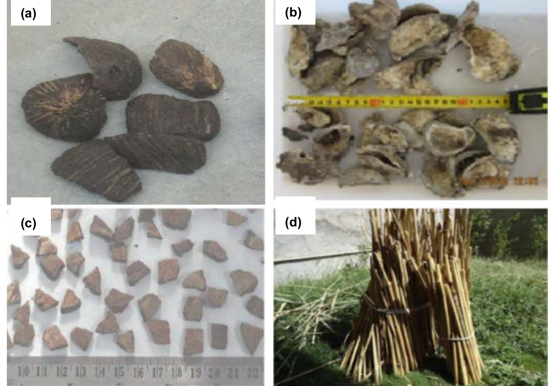 Silver Shell Wos (PDF) Application of Agricultural-Waste Materials in Construction ...