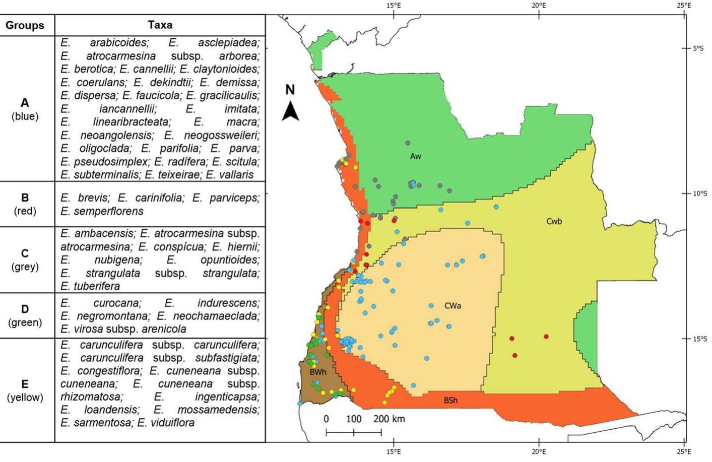 (PDF) Species richness and distribution of the largest plant radiation ...