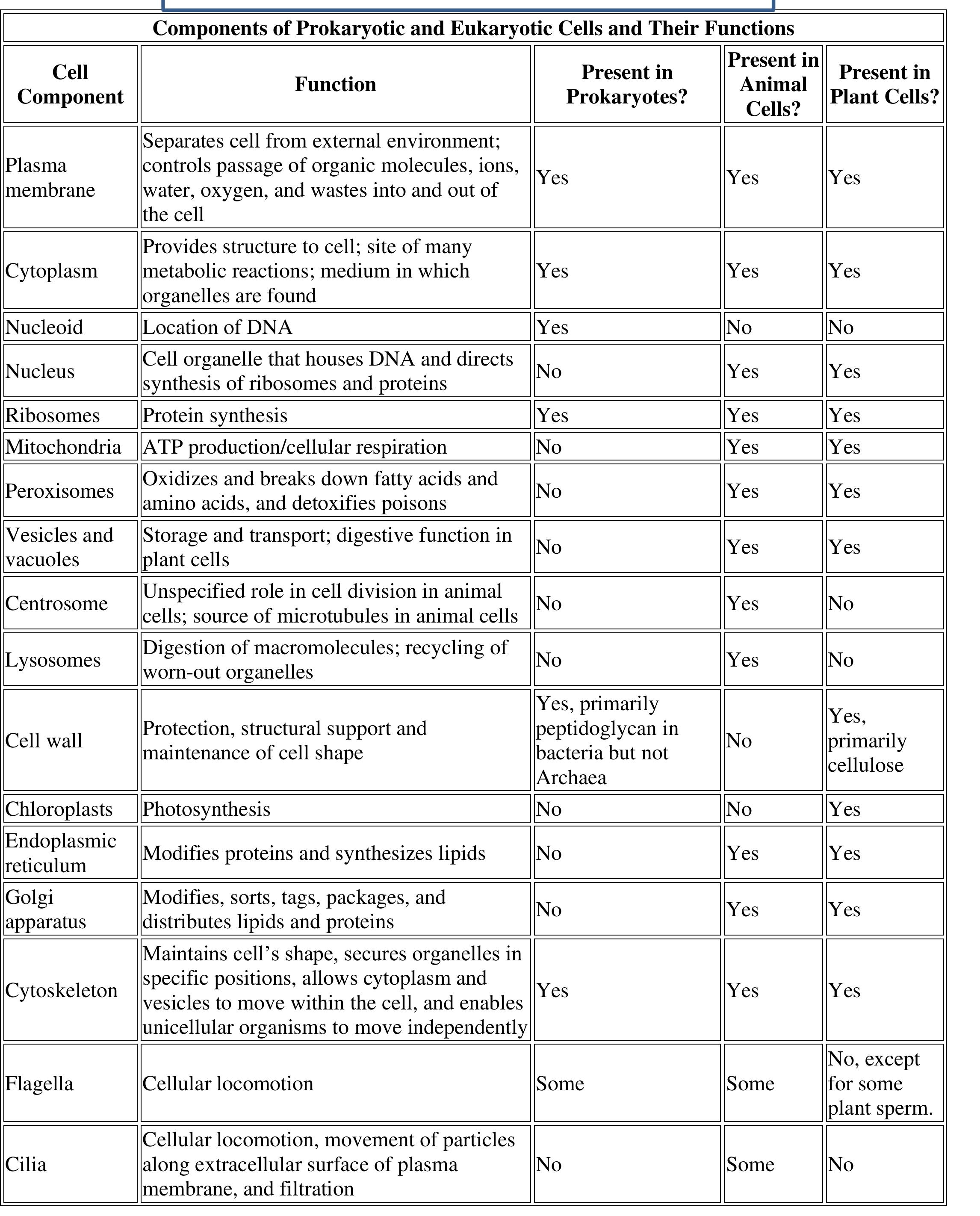 (PDF) Intracellular Compartments and Protein Sorting