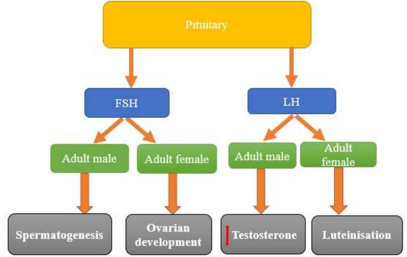 Figure 2 - from Extensive study and data collection on the