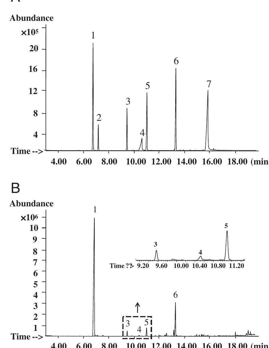 Typical gc-ms chromatograms (tic) of (a) mixed standards and