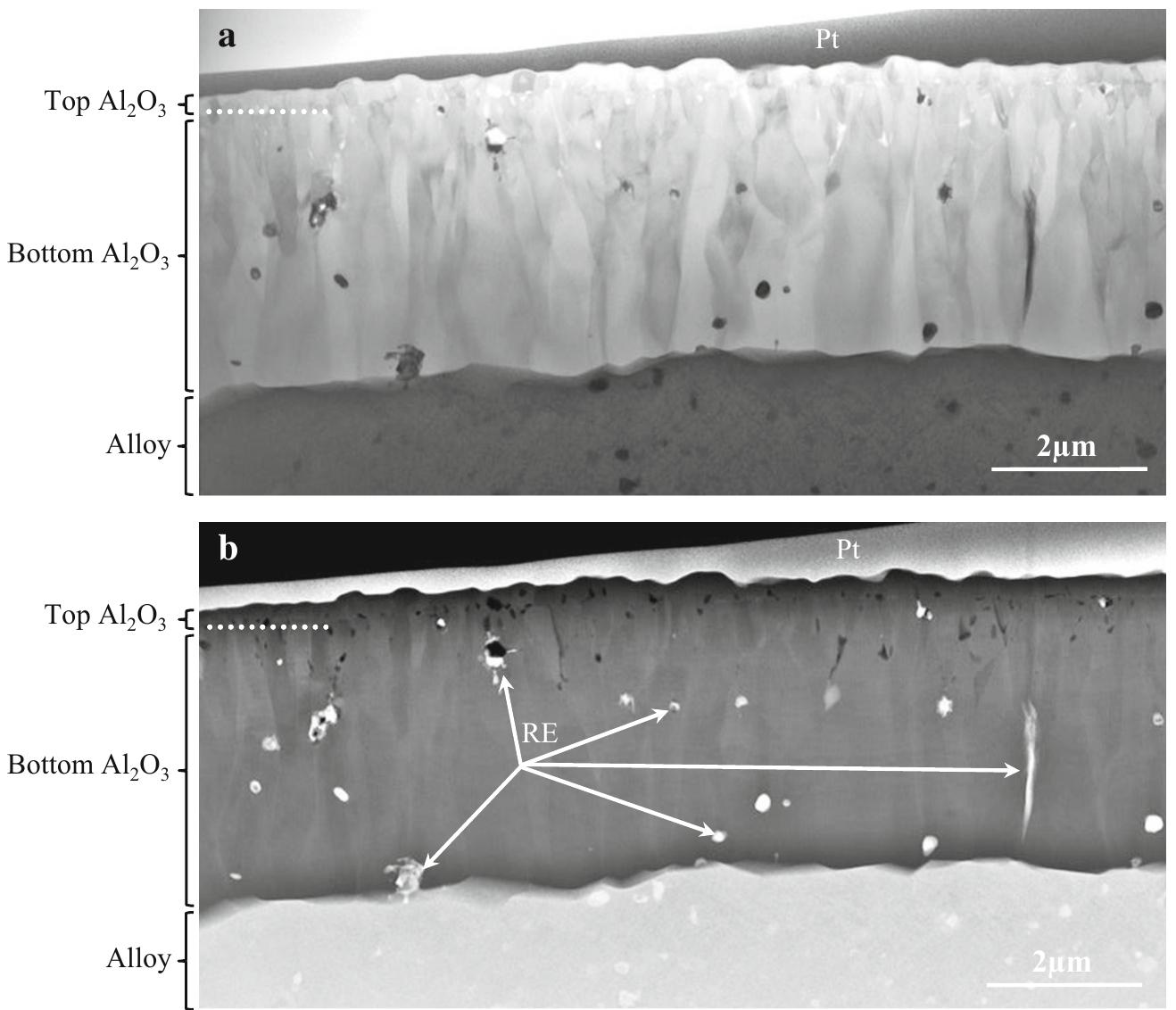Stem micrographs a bf and b haadf of a cross-section of