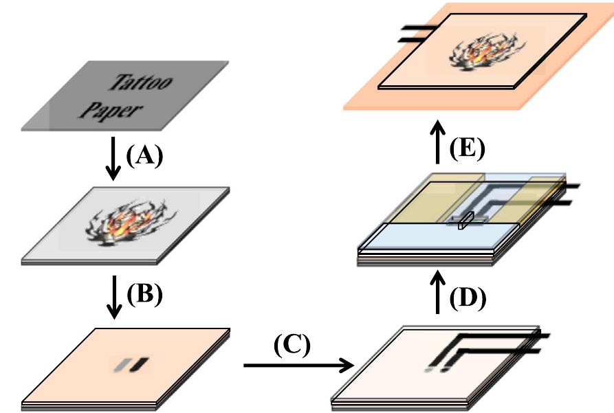 Schematic showing the fabrication and transfer process for