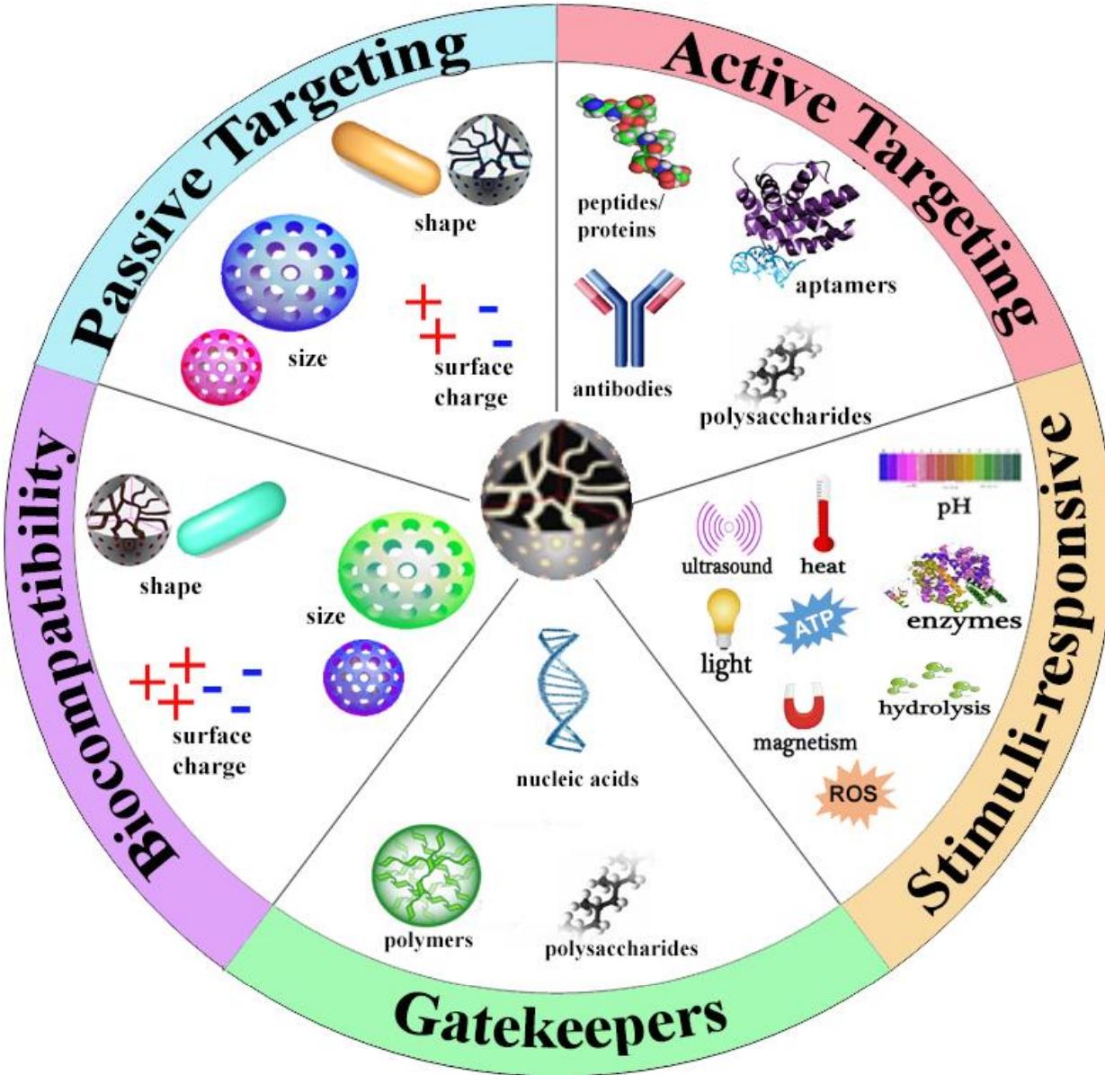 Myriad Methods (PDF) Mesoporous Silica Nanoparticles: Properties and Strategies for ...