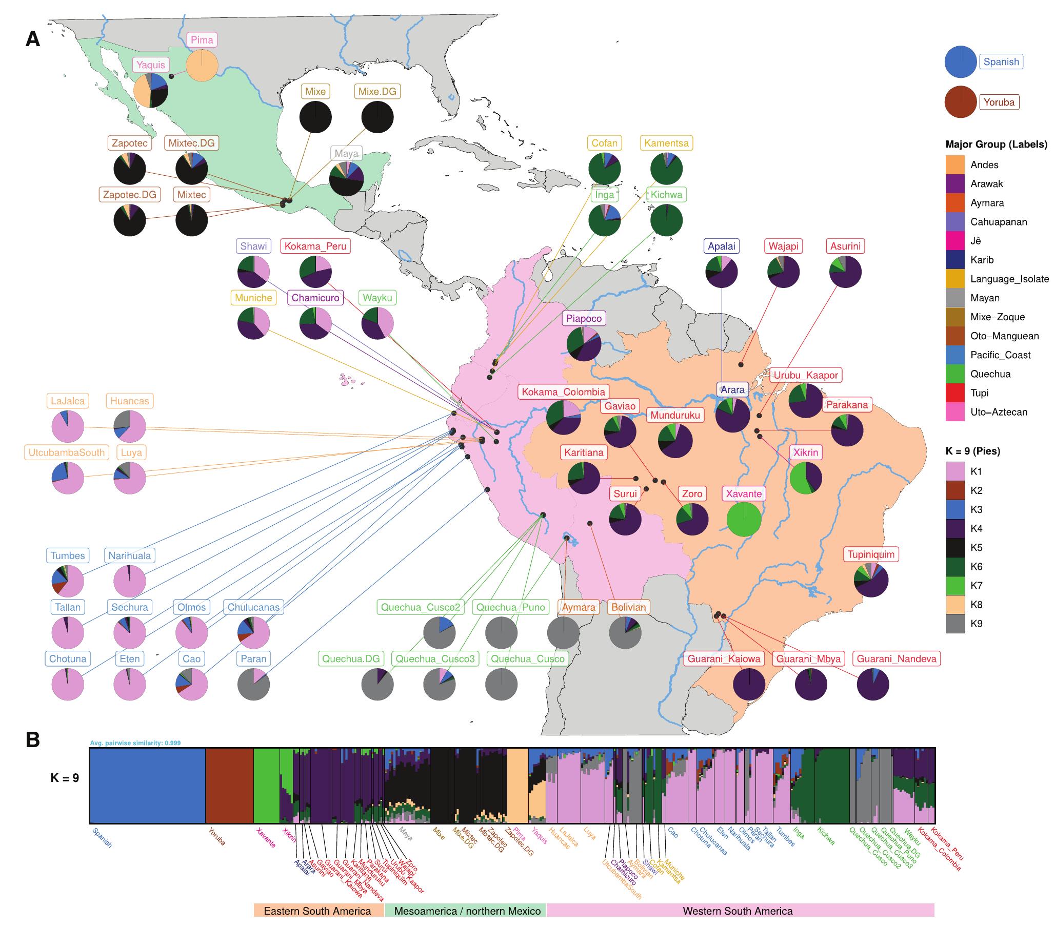 Native Genes Fic. 1. genetic structure of the native americans. an