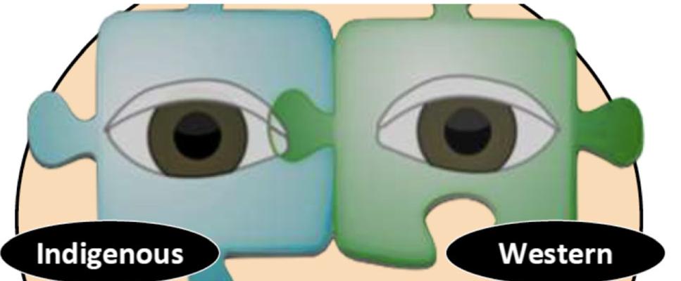 (PDF) The Application of Both-Ways and Two-Eyed Seeing Pedagogy ...