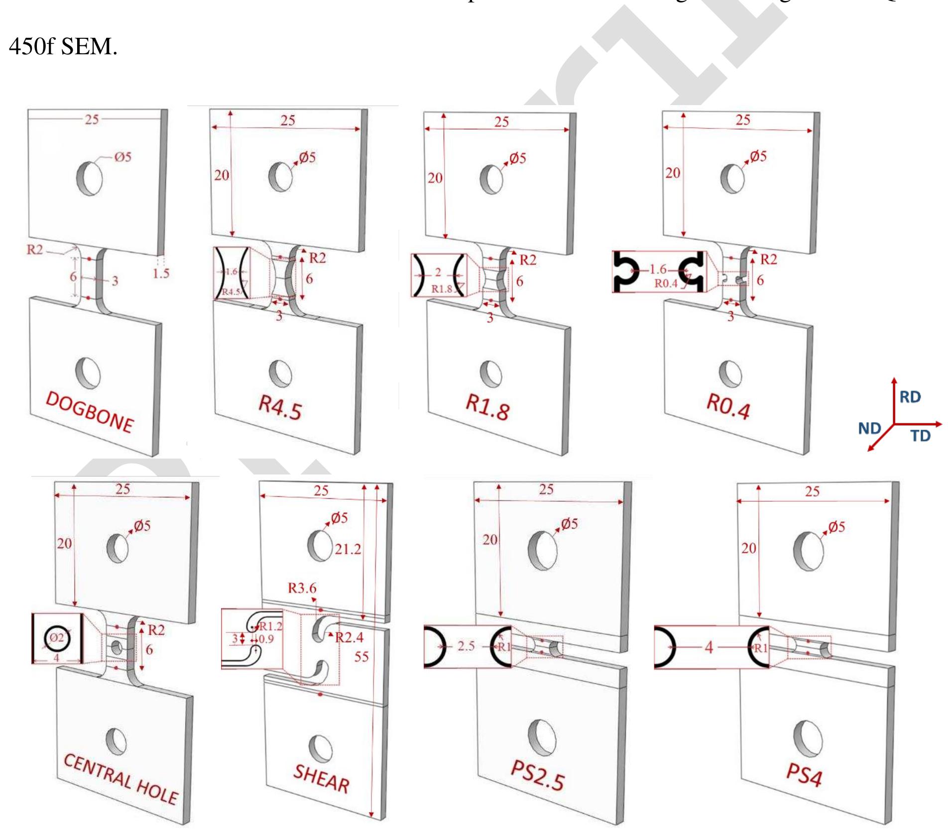 Fig 2. Purpose-designed specimens for plasticity, damage and fracture characterization of DP1000 steel at static, 