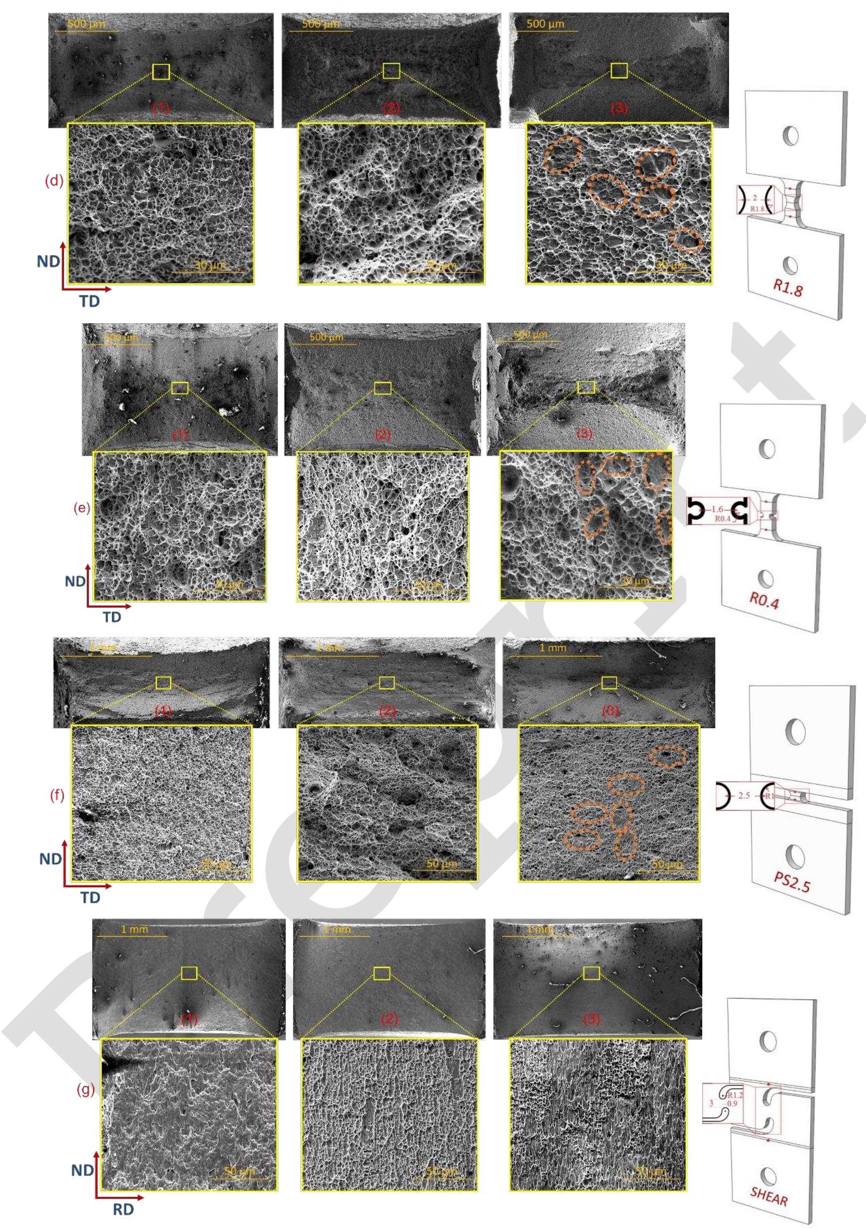 Fig 21. SEM fractographs of (a) dogbone (b) central hole, (c) R4.5, (d) R1.8, (e) RO.4, (f) PS2.5 and (g) shear 