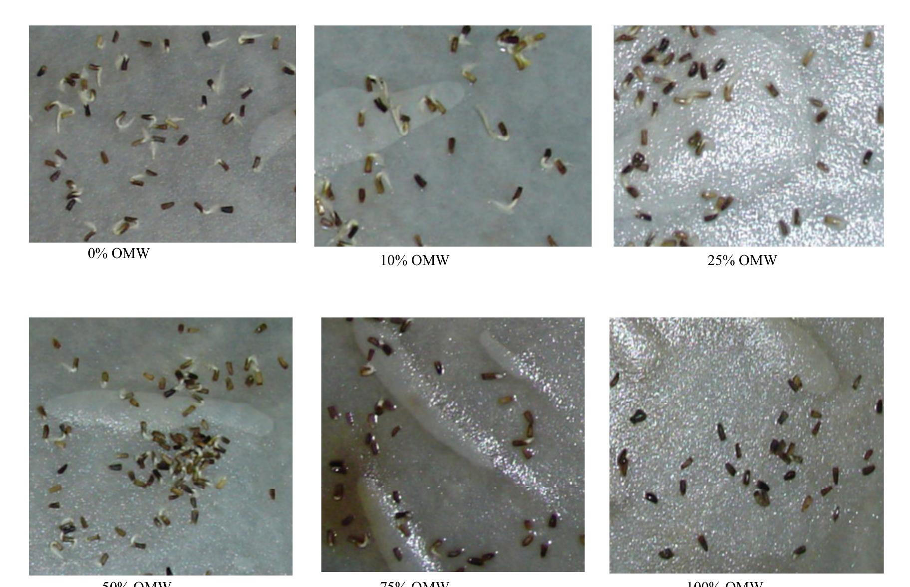 (PDF) Effects of olive mill wastewater on seed germination and seedling ...