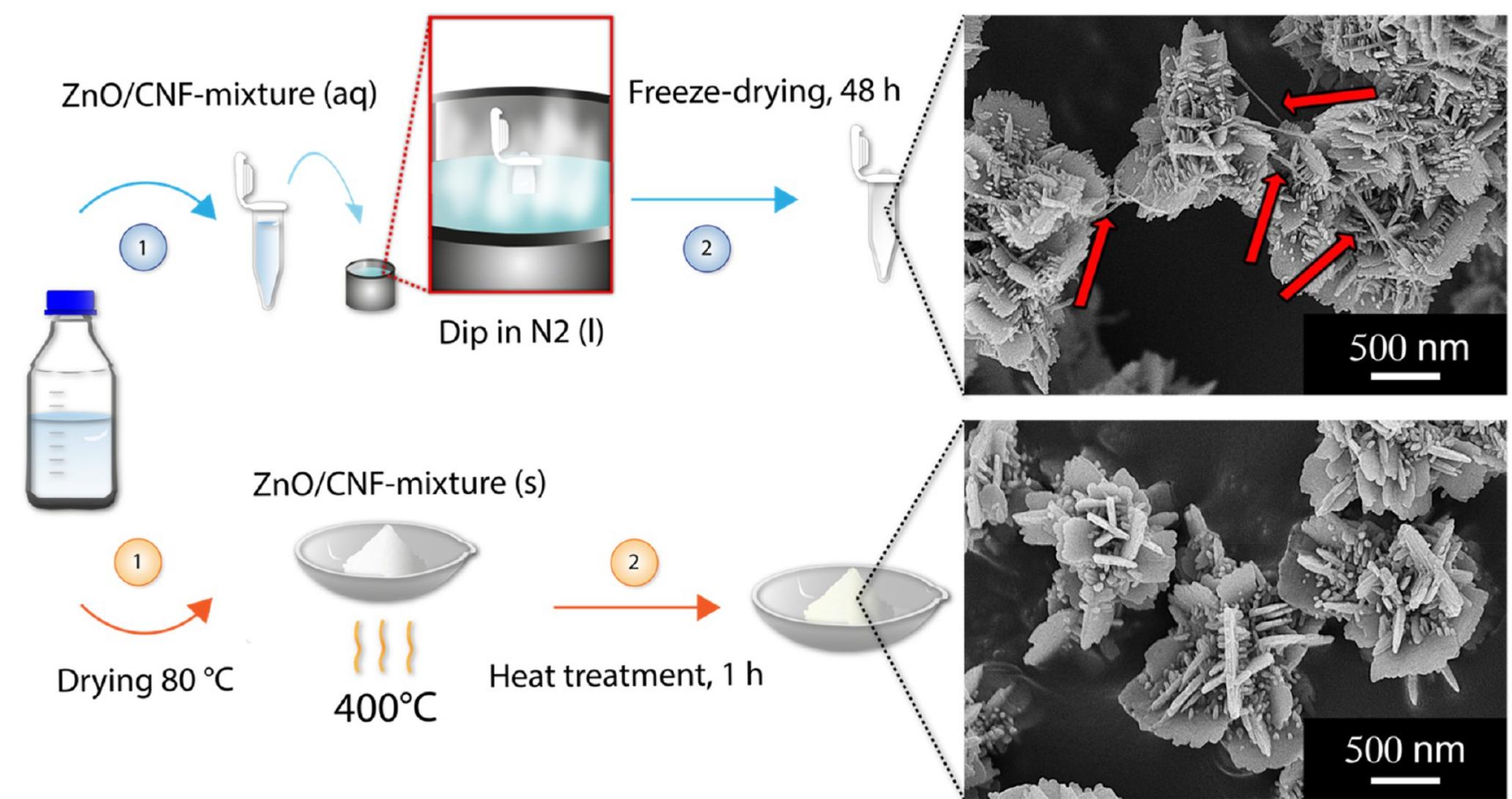 (PDF) Ultra-low Concentration of Cellulose Nanofibers (CNFs) for ...