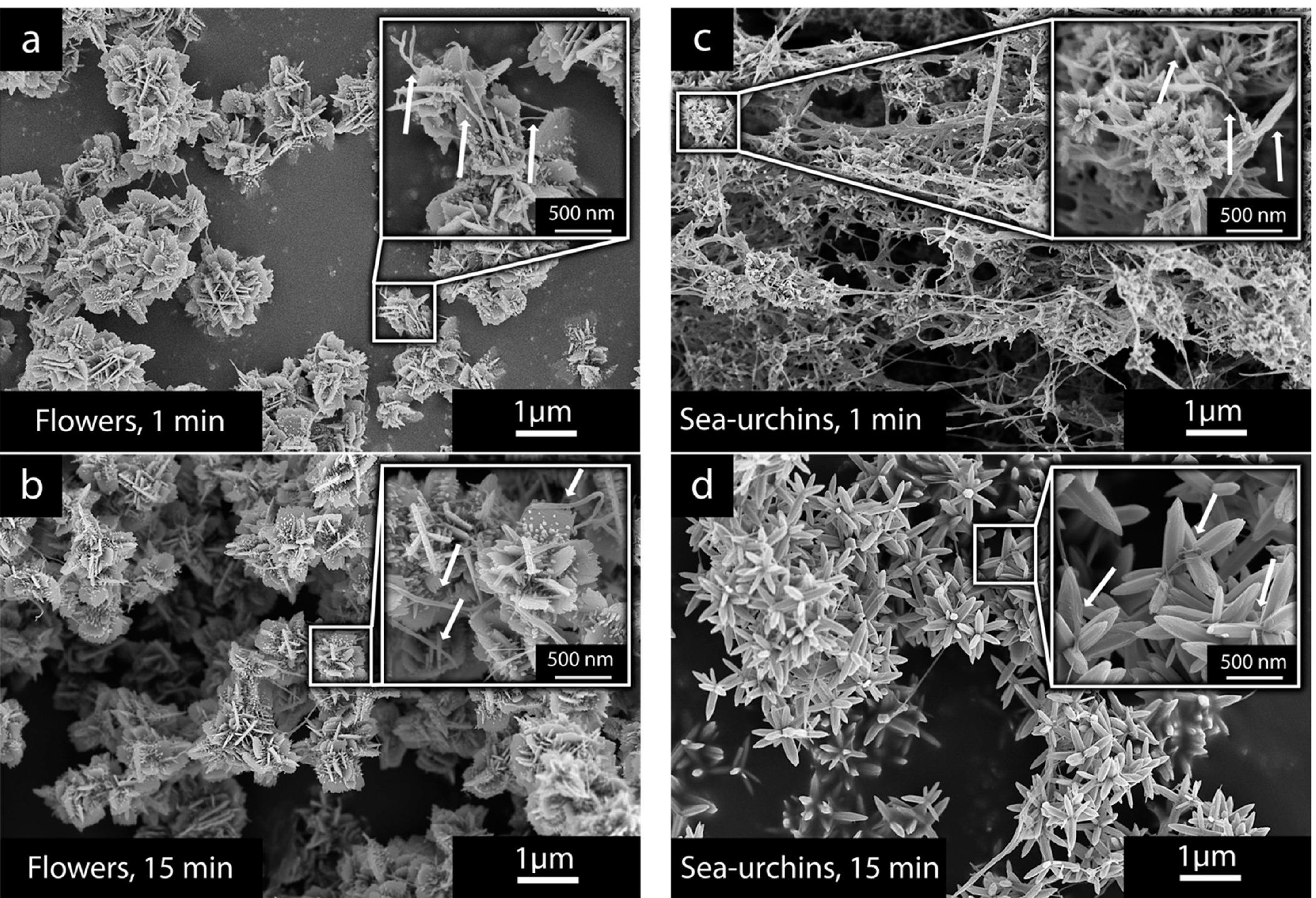 (PDF) Ultra-low Concentration of Cellulose Nanofibers (CNFs) for ...
