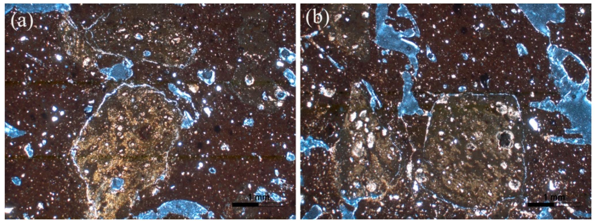 Figure 5. Representative photomicrographs of group 3: (a) sample K8 and (b) sample K84. All photomicrographs are taken under crossed Nicols (XP). 