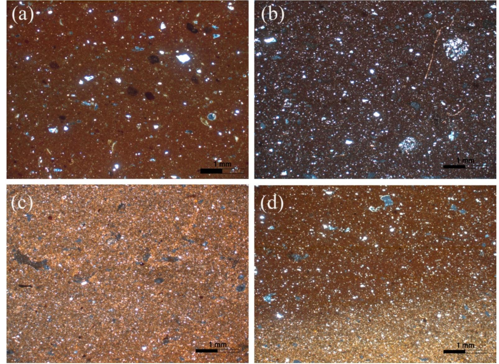 Figure 7. Representative photomicrographs of the fabric group 5. (a) Sample K2; (b) K12; (c) K27 and (d) K95. All photomicrographs are taken under crossed Nicols (XP).  reddish brown to yellowish brown and is moderately optically active (Figure 7a—d). White mica is the dominant mineral, whereas brown mica is fewer and monocrystalline quartz is common. Samples K2 and K95 contain few decomposed micrite grains, whereas sample K12 has few coarse sandstone fragments with cement rich in iron oxides. Plagioclase and epidote were only rarely noticed.  4.1.2. Fine Fabric 
