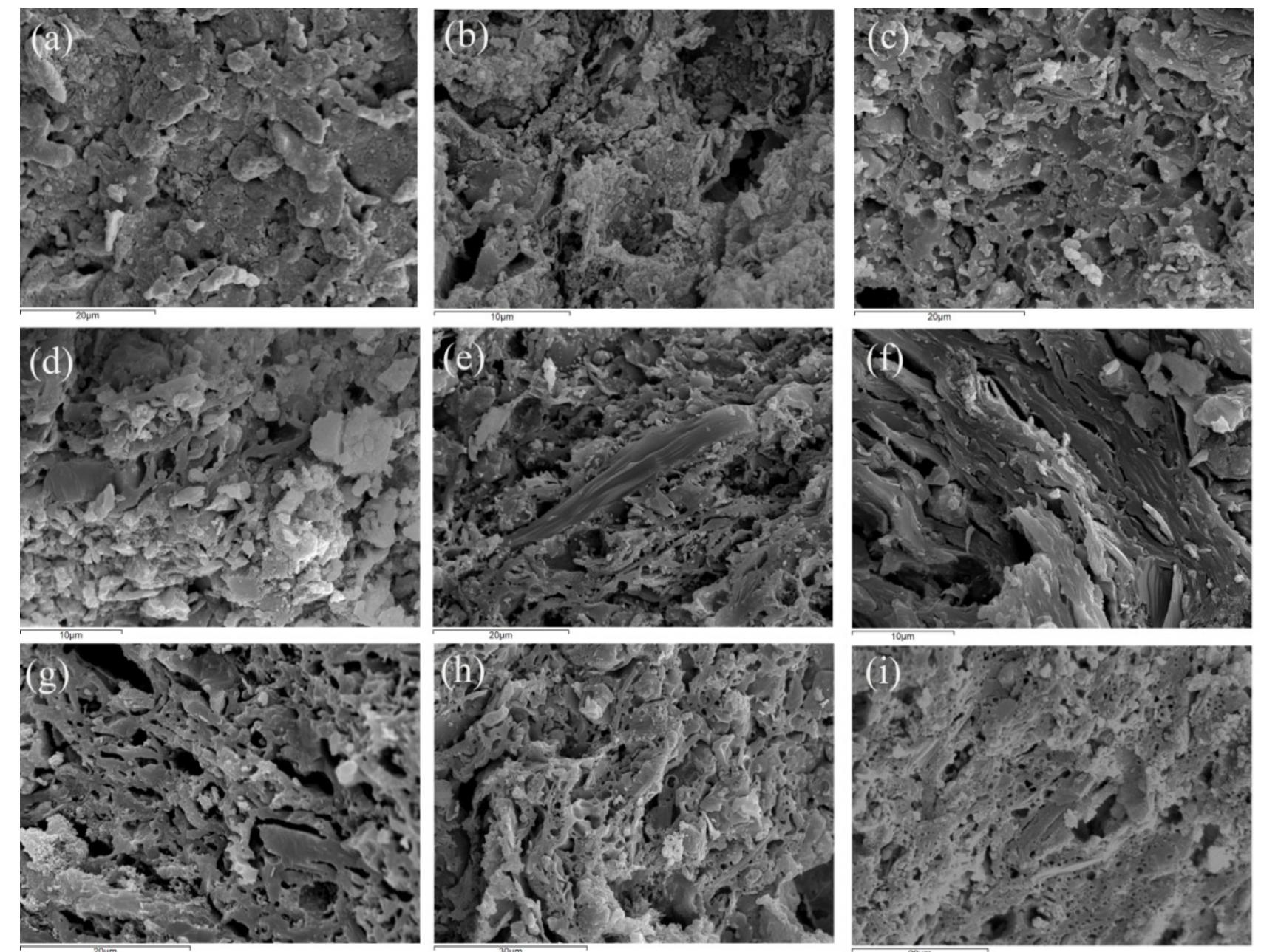 Figure 10. Secondary electron micrographs of fresh fractures from representative samples of the calcareous group: (a) K8¢ (b) K26, (c) K21, (d) K9, (e) K20, (f) K7, (g) K18, (h) K59 and (i) K51. 