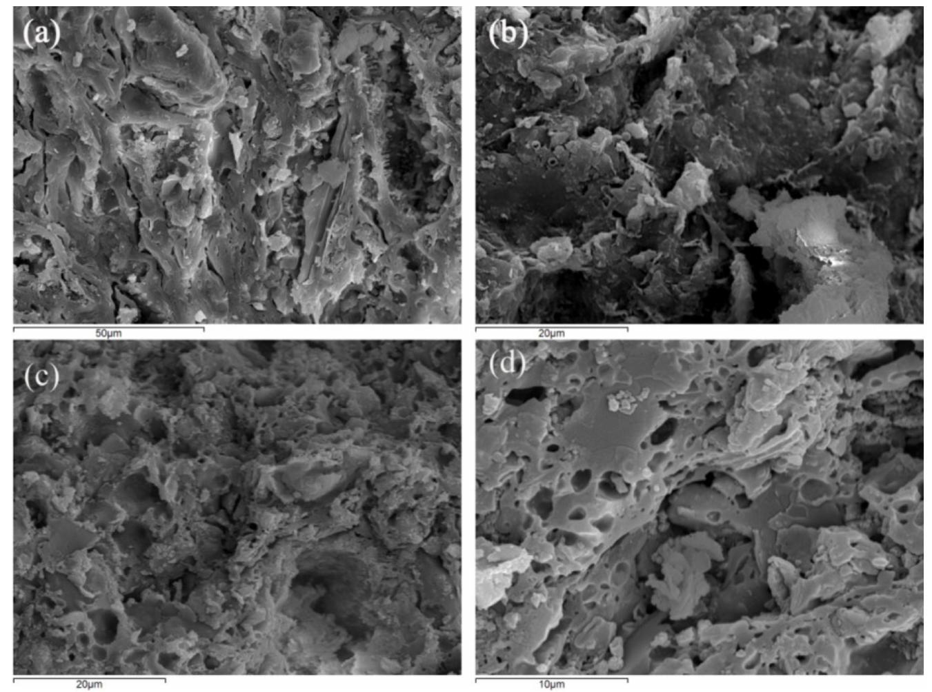 Figure 11. Secondary electron micrographs of fresh fractures from representative samples of the low calcareous ceramic samples (representative samples): (a) K4, (b) K6, (c) K22 and (d) K70.  Figure 11. Secondary electron micrographs of fresh fractures from representative samples of the low 