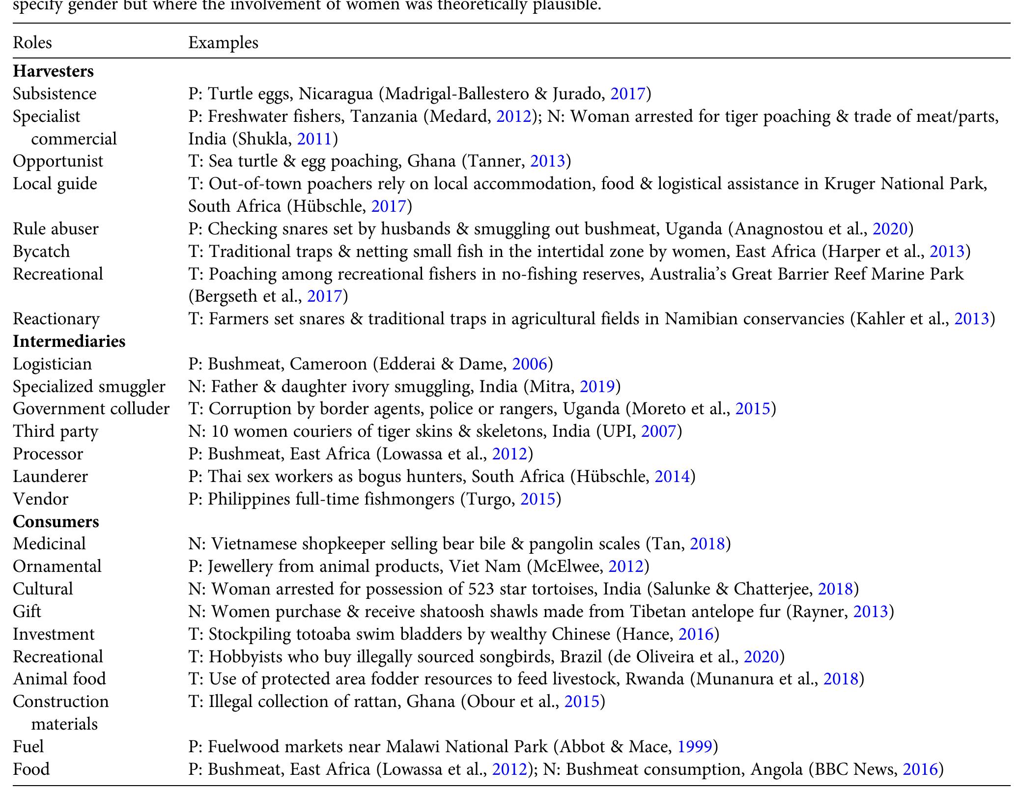 An exploration of the peer-reviewed and non-peer- reviewed literature indicates there is more evidence for women serving as intermediaries, such as processors or vendors, or consumers, than as harvesters (Table 1). We as- signed theoretical roles to give examples of peer-reviewed or non-peer-reviewed literature that does not specify the gender of the offender, but where the plausible involvement of women is posited. For example, Harper et al. (2013) de- scribed the paucity of research and consideration of wo- men in the fisheries sector, but did not discuss women within the context of illegal fisheries. Theoretical roles are used to represent five of the eight harvester types, one of seven intermediary categories, and four of the 10 consumer categories (Table 1), indicating areas of potential future re- search on women’s involvement in wildlife crime. However, there are also gaps in knowledge regarding the involvement of men. For example, there is little literature on the preva- lence and behaviour of opportunist, local guides and by-  catch harvectere reaardlece af cender  primarily viewed as a masculine endeavour (Edderai & Dame, 2006; Lowassa et al., 2012; McElwee, 2012; Sollund, 2020), and cultural taboos can prohibit women from partici- pating in these activities. 