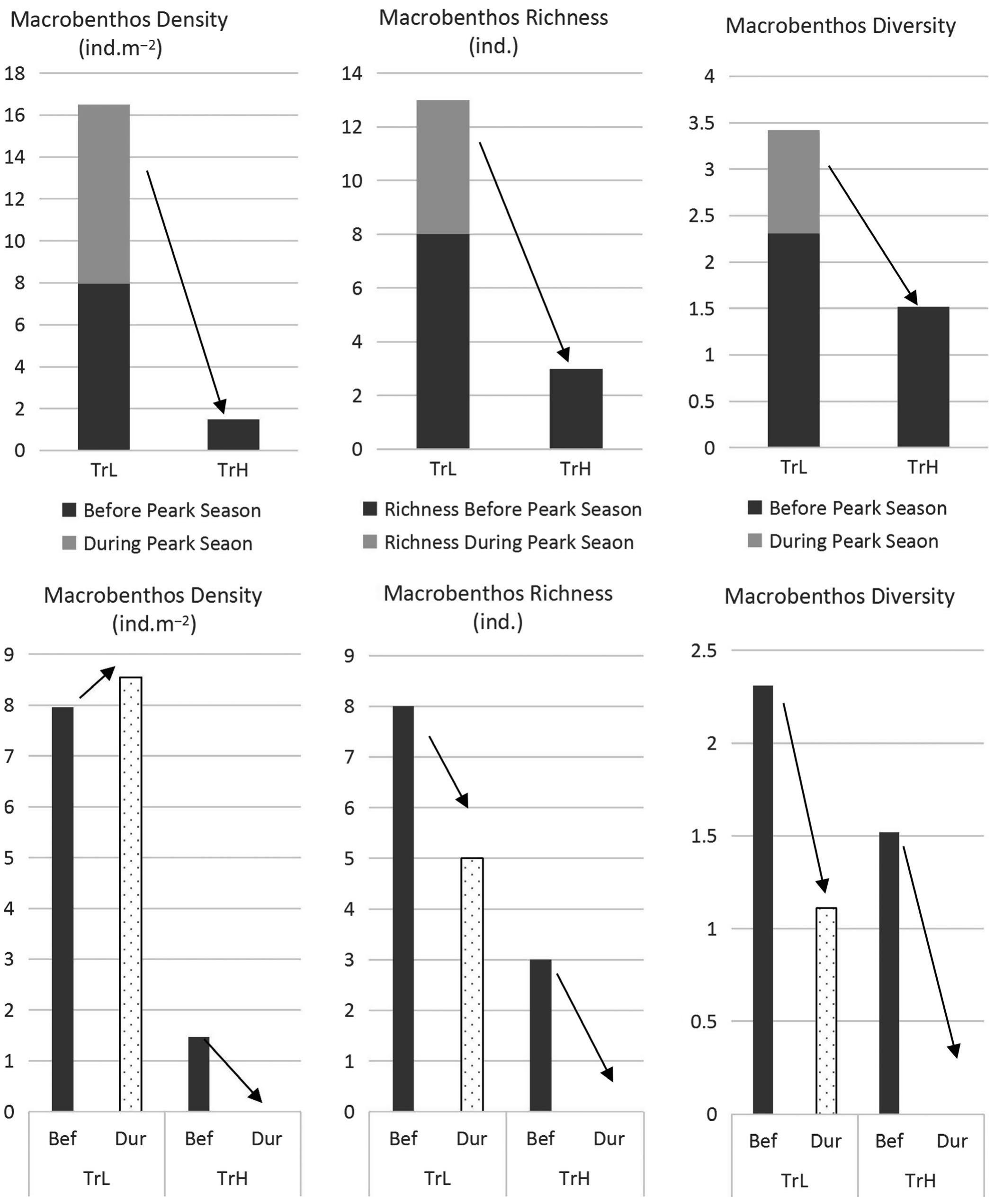 Macrobenthos Sample (PDF) Assessing the response of sandy‐beach macrobenthos to recreation ...