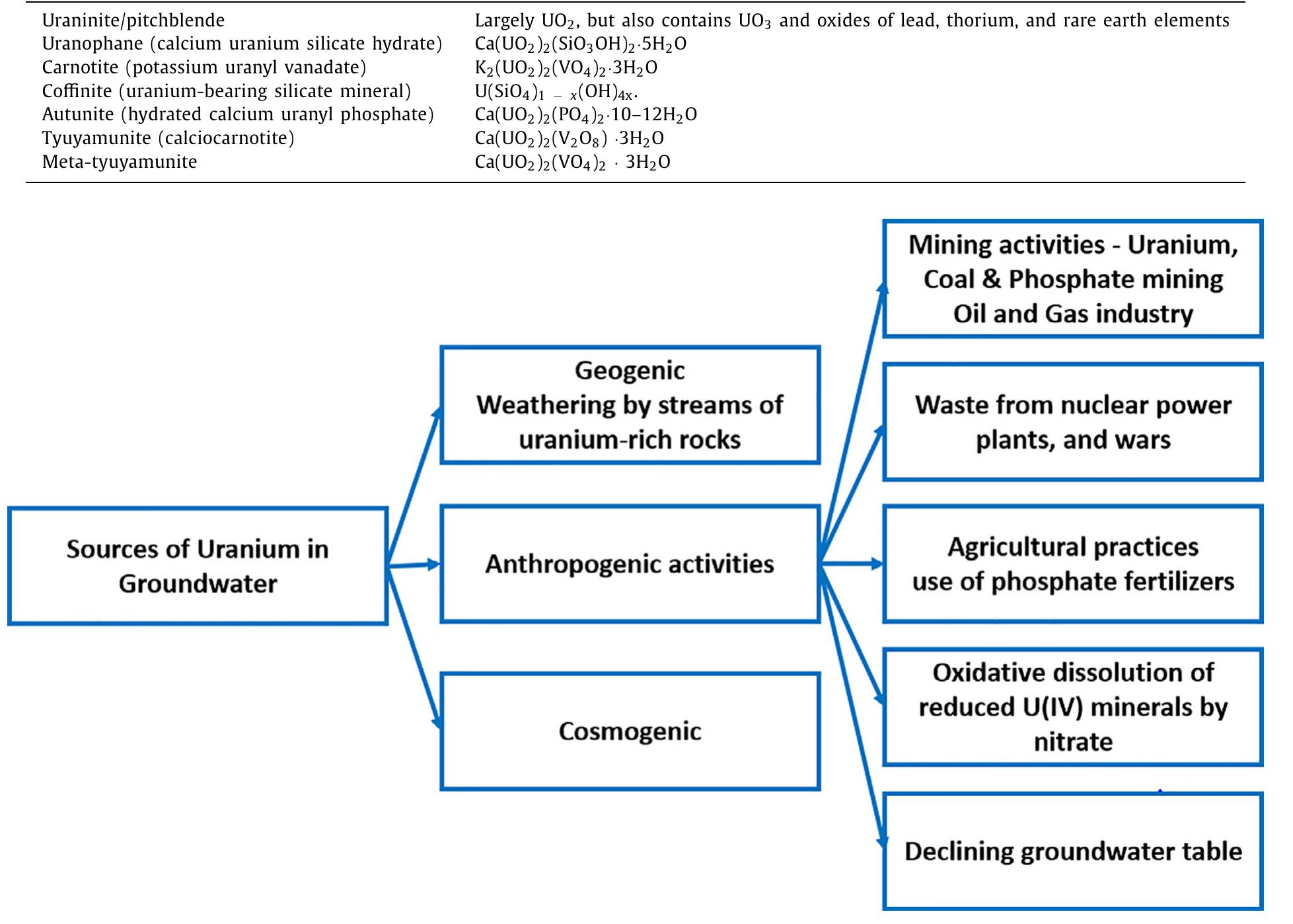 Fig. 2. Various sources of uranium in groundwater.  Most common uranium minerals. 