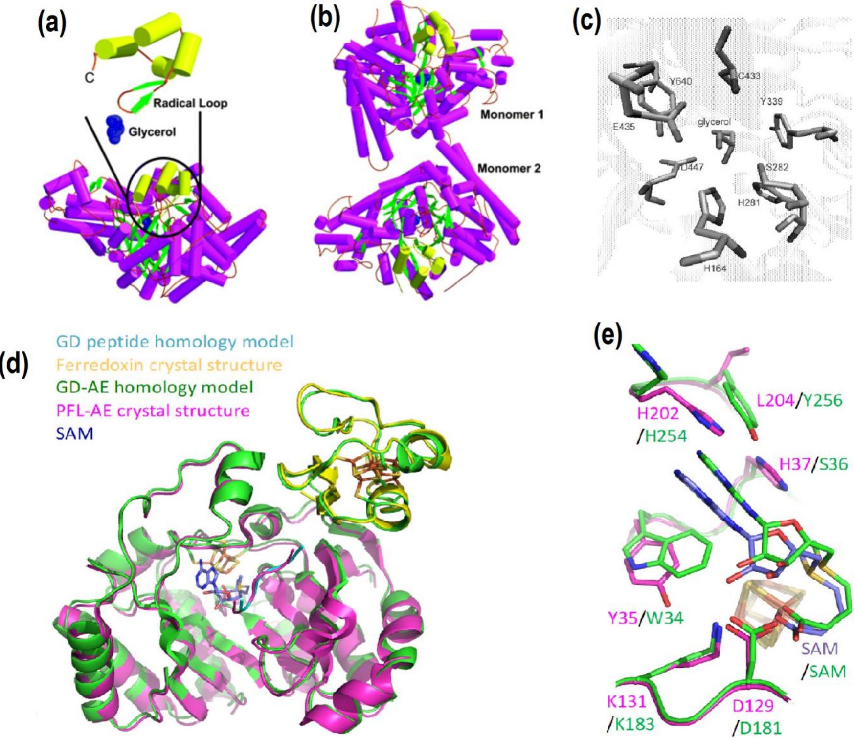 (PDF) Biocatalytic gateway to convert glycerol into 3-hydroxypropionic ...
