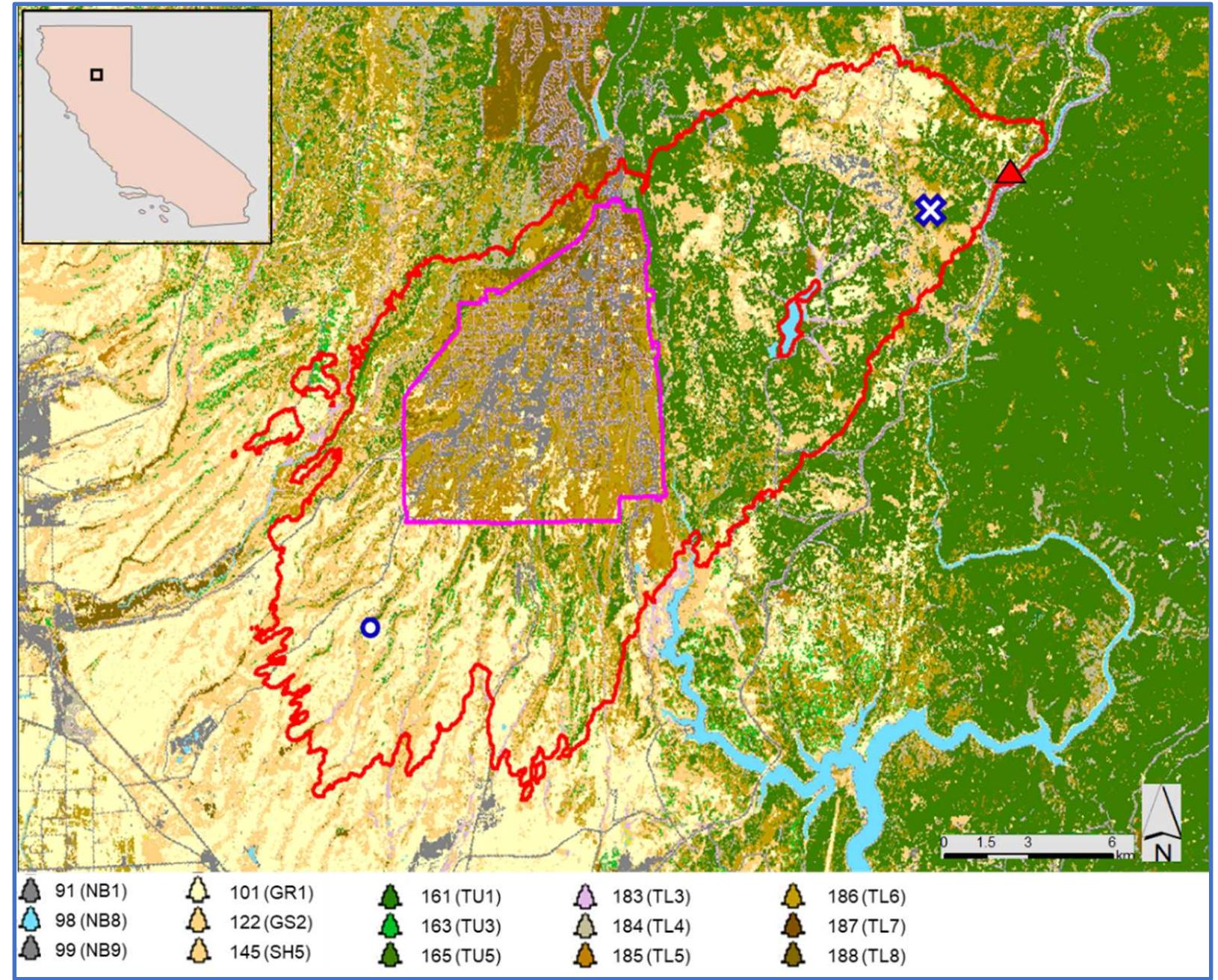 Map of scott and burgan fire behavior fuel models [30] in