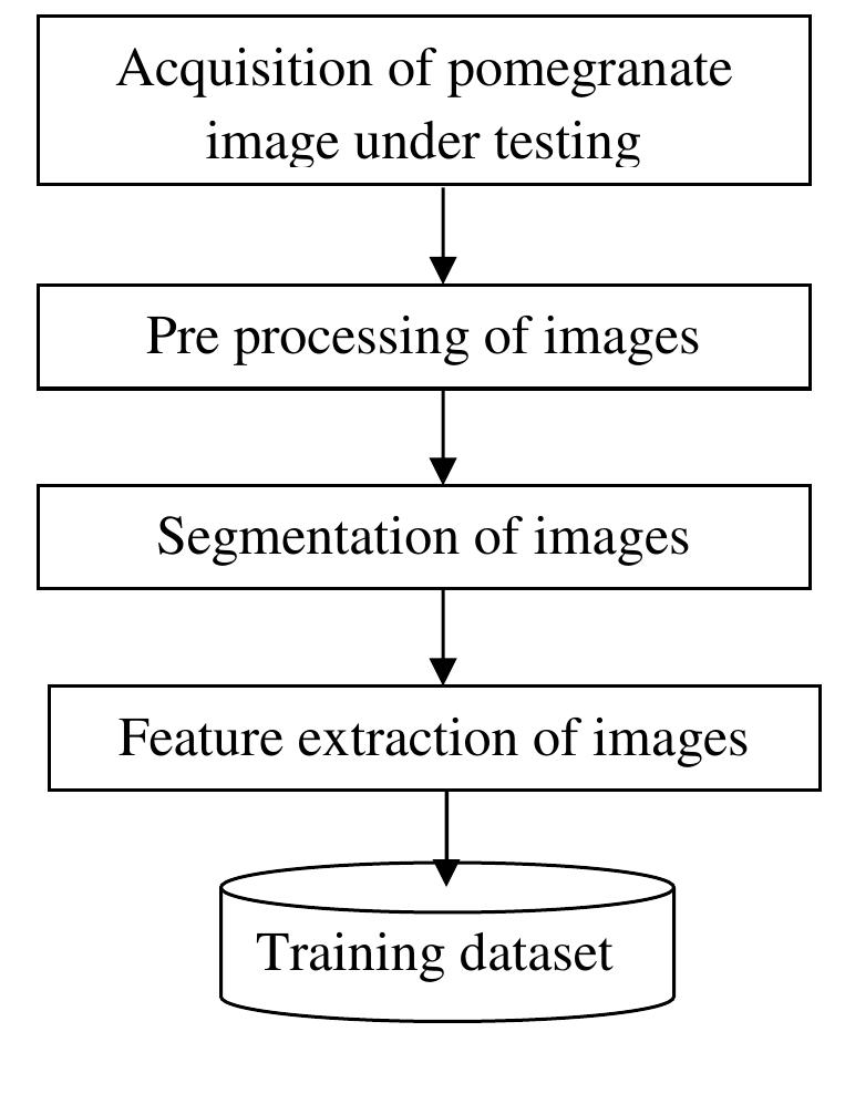 (PDF) Detection of Diseases and Grading in Pomegranate Fruit Using ...