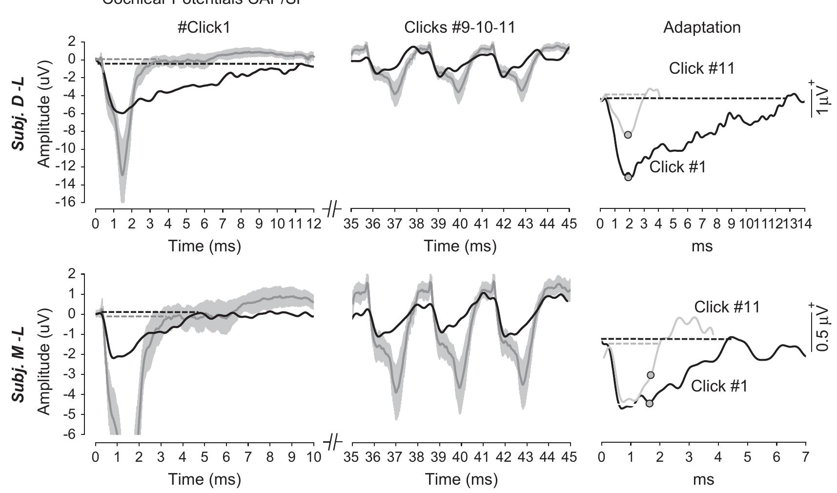 (PDF) Presynaptic and postsynaptic mechanisms underlying auditory ...