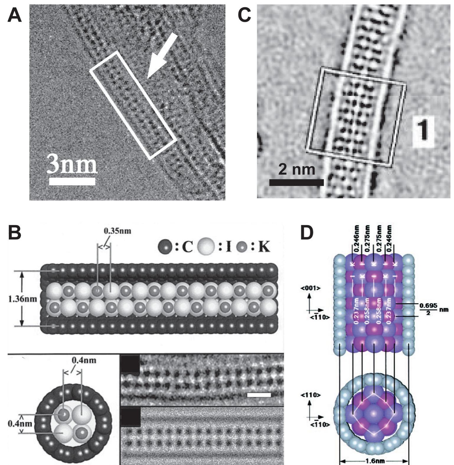 Electron microscopy images (tem) of ultramicrotomed slices