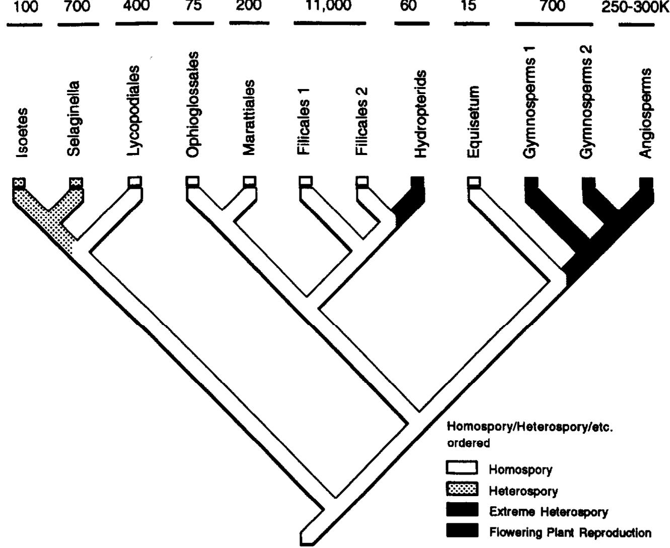 Life cycle distributions and species richness estimates as