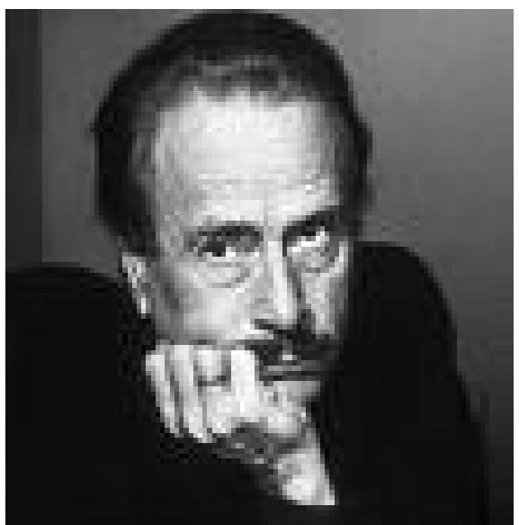(PDF) W.J.T. Mitchell What Do Pictures Want?