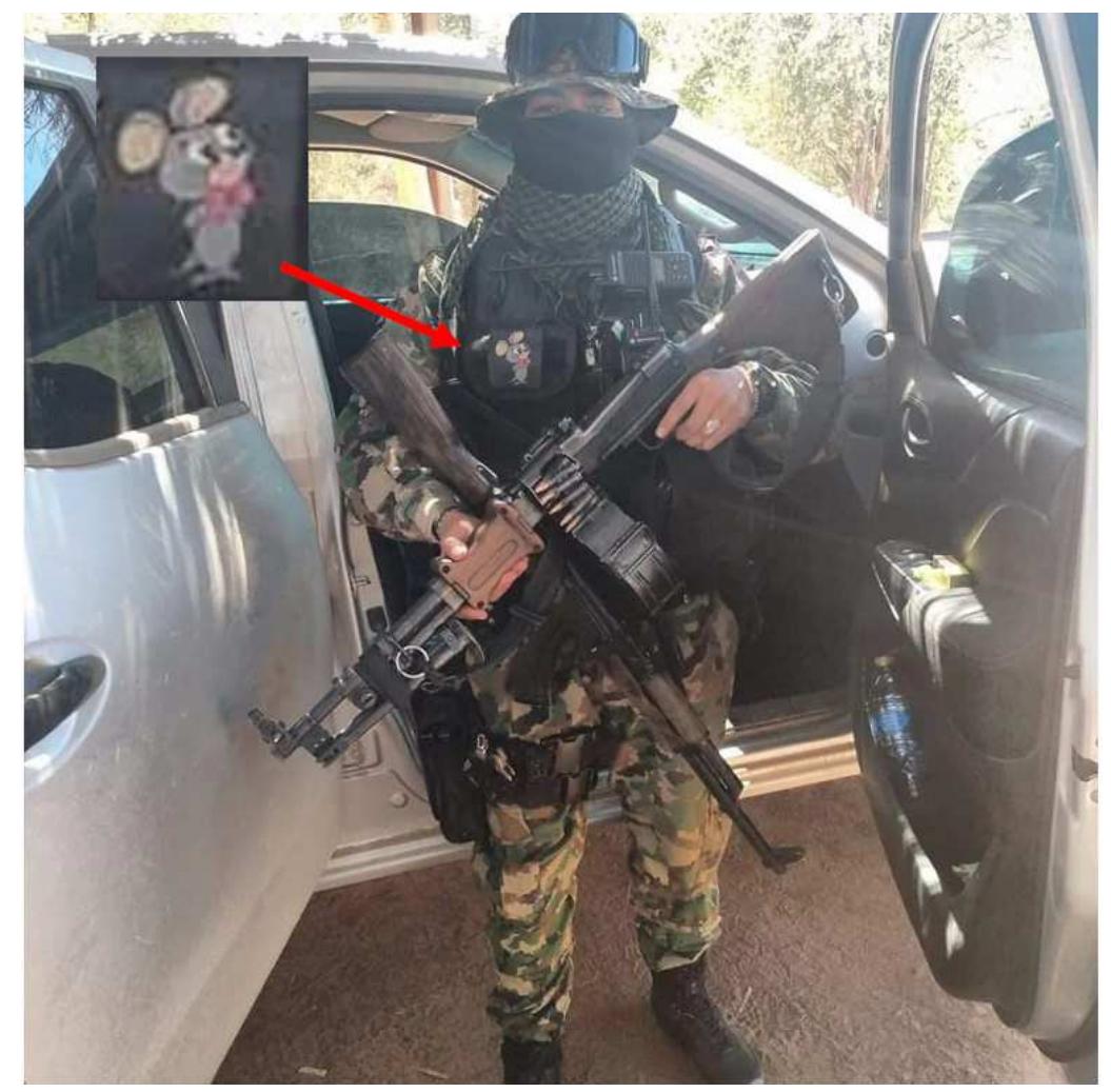 (PDF) Mexican Cartel Strategic Note No. 35: Mexican Security Forces ...