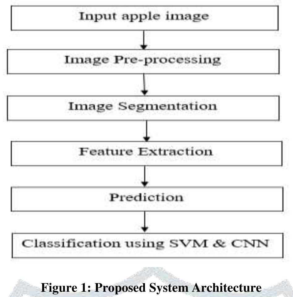 (PDF) Apple Fruit Disease Detection Using Image Processing
