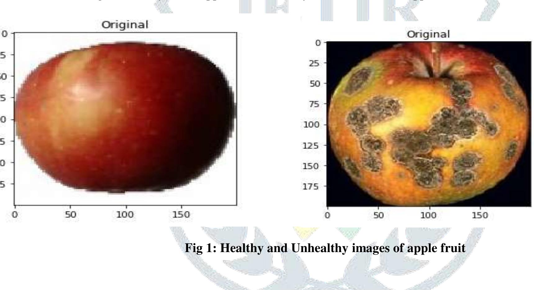 (PDF) Apple Fruit Disease Detection Using Image Processing