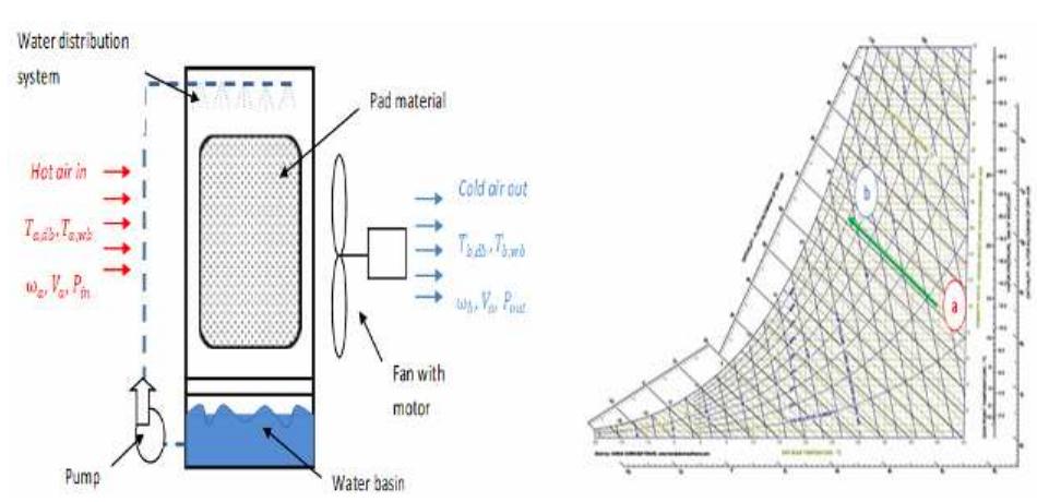 Schematic diagram of evaporative cooler system and the proc-