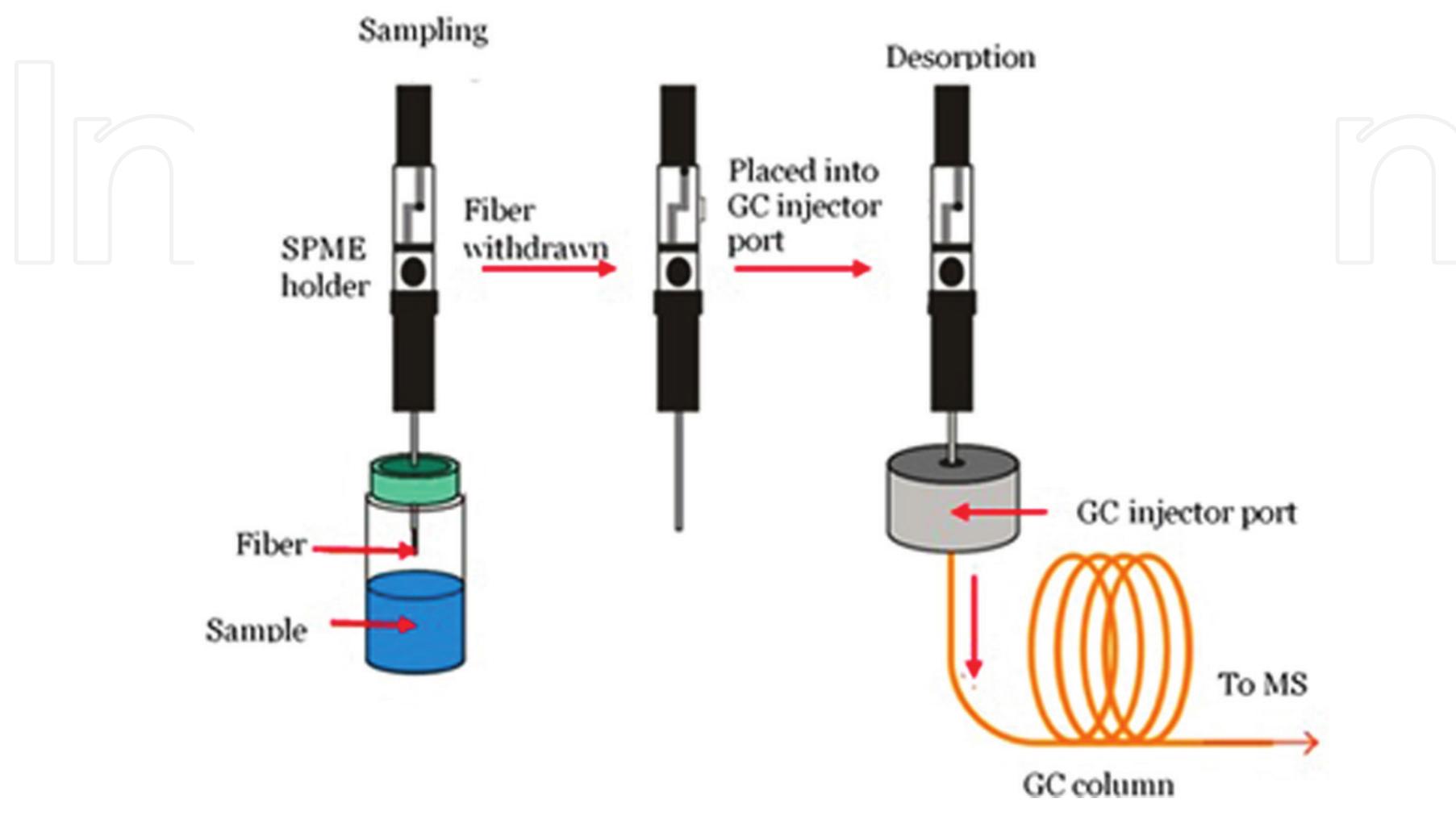 Spme System (PDF) Heavy Metal Contamination in the Coastal Environment and Trace ...