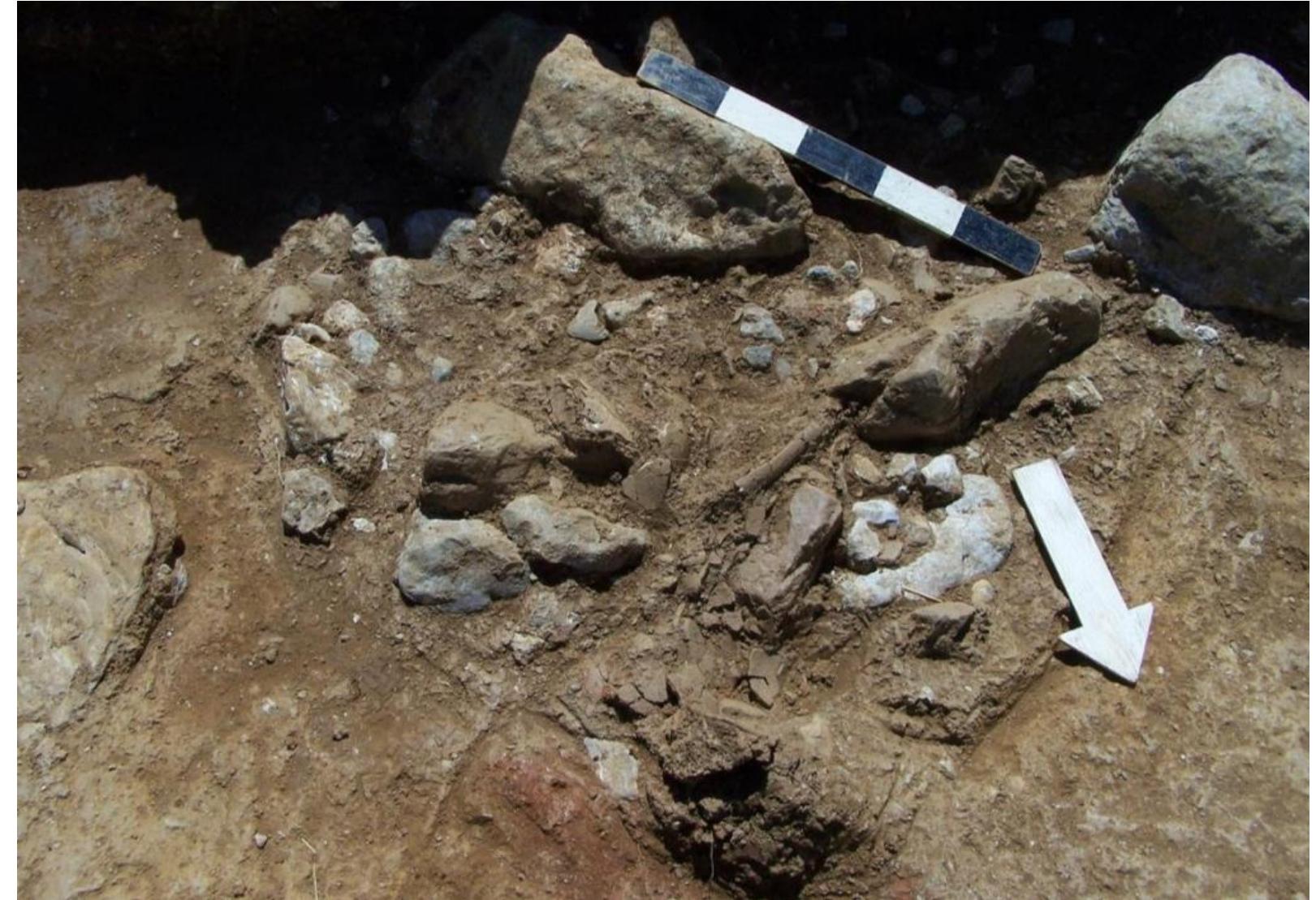 cal BC (95% probability, 0.3% collagen) (ID: MAMS-49521, AMS, IntCal20). 