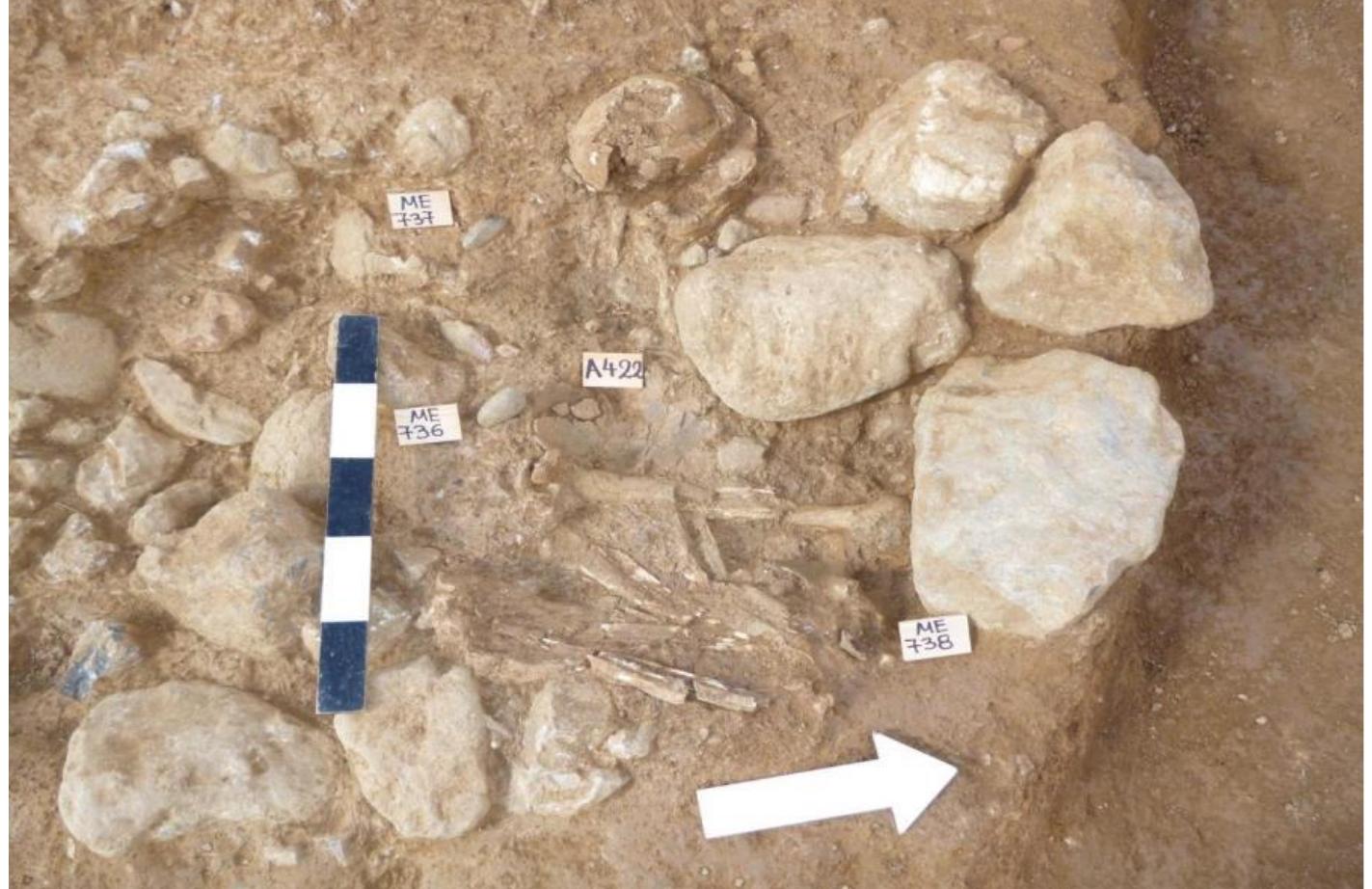 Supplementary Figure 3. Grave 8-Burial 16 in the Neolithic cemetery of Aposelemis. 