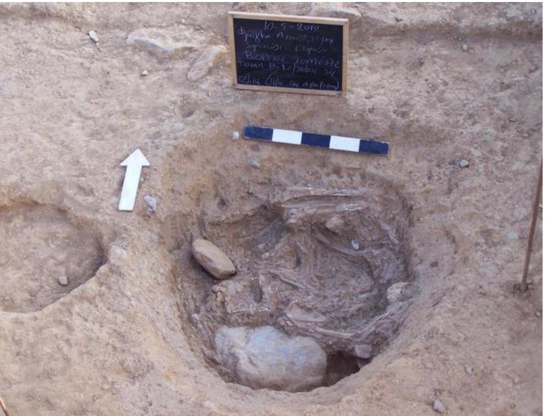 Supplementary Figure 5. Grave 54-Burial 66 in the Neolithic cemetery of Aposelemis. 