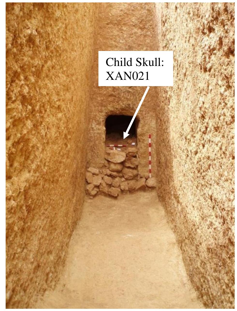 Supplementary Figure 14. Malefakis Plot, Tomb 1.  a minimum of 3 people, as well as 3 tibias (two left and one right). 