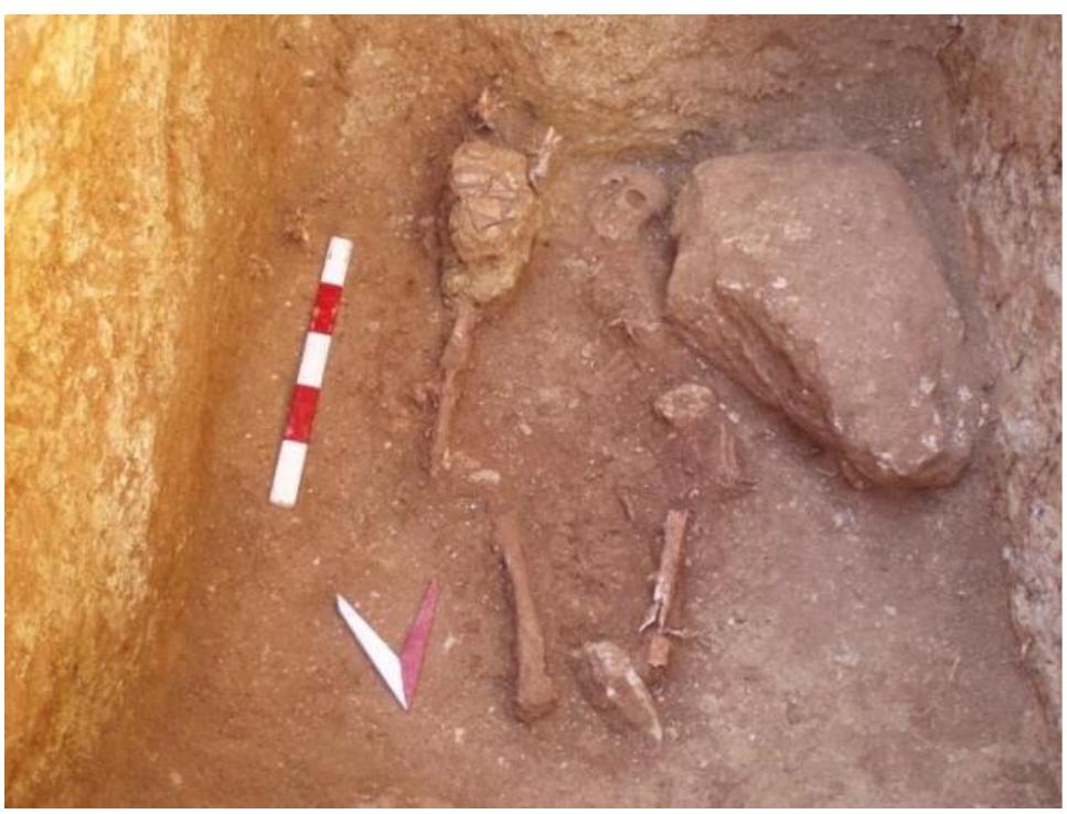 Supplementary Figure 15. Malefakis Plot, Tomb 1. Individual 2. 
