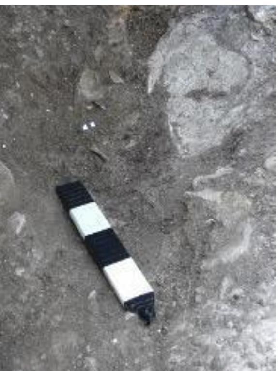 Supplementary Figure 33. Infant burial in the southwestern corner of Room 1 (excavation 