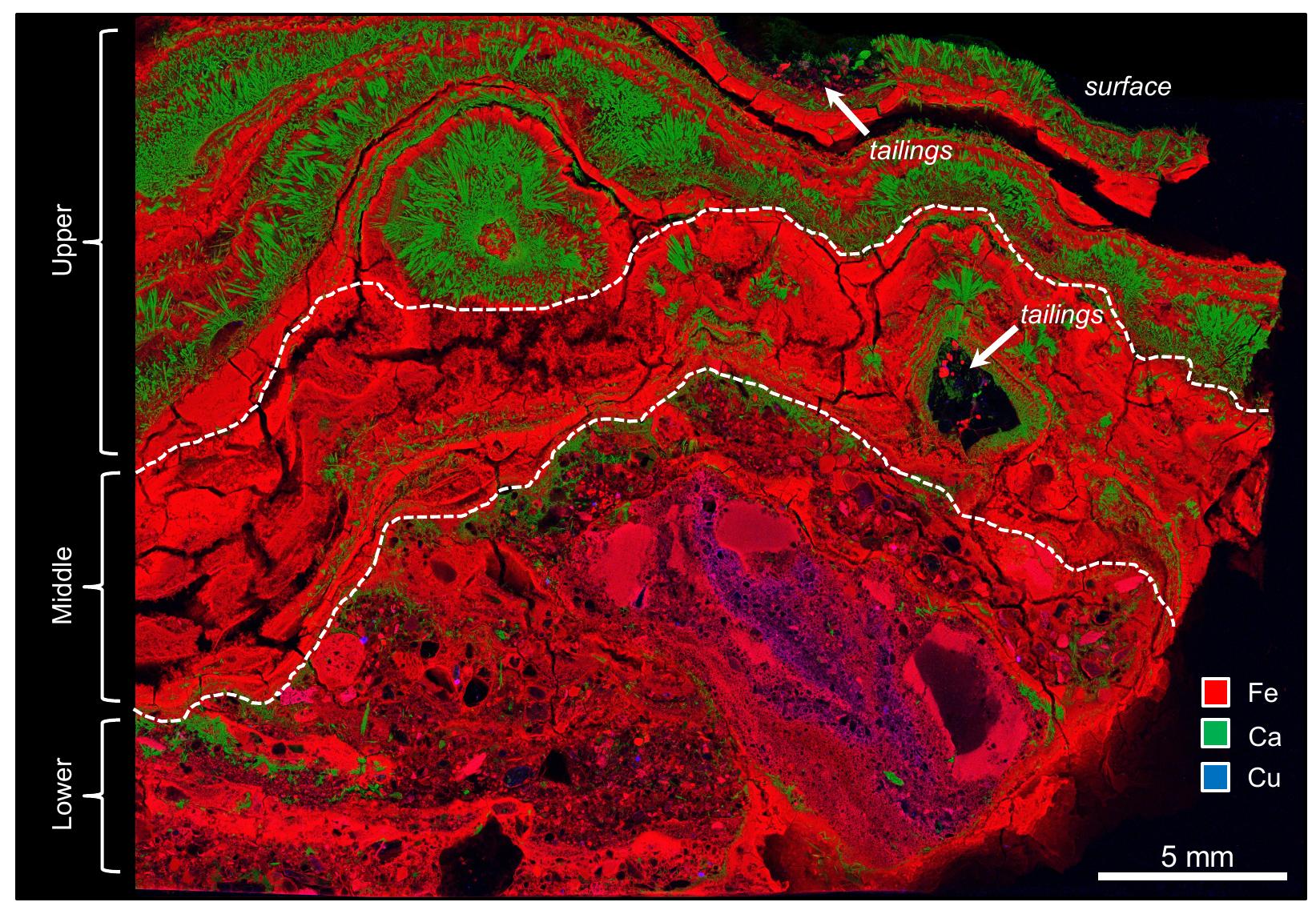 Microscopy Map An x-ray fluorescence microscopy (xfm) map of the