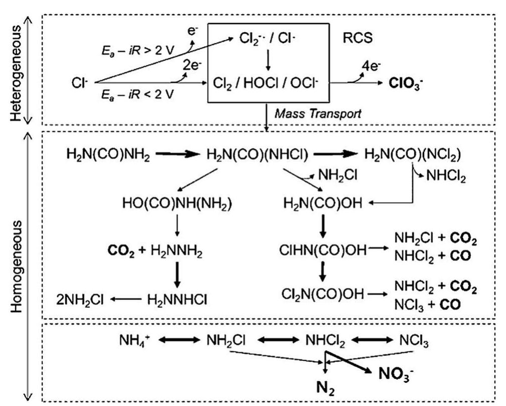 Fig. 2 Reaction pathways of urea degradation by electrochemically generated reactive chlorine species (RCS) proposed Cho et al.  (Adapted with permission from [58]. Copyright (2014) American Chemical Society)  the optimum conditions for treating urea in a chloride- containing medium; meanwhile, Carlesi Jara et al. [60] studied the effect of a combined direct and indirect electro- oxidation of urea and determined the optimum chloride concentrations to minimize nitrate generation at different current densities. 
