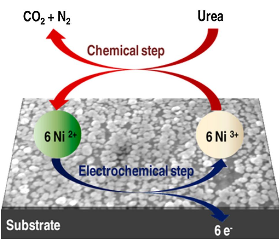 Fig. 4 Graphical representation of the two-step mechanism of urea decomposition in alkaline medium over Ni electro-catalyst surface (Adapted with permission from [65]. Copyright (2014) American Chemical Society) 