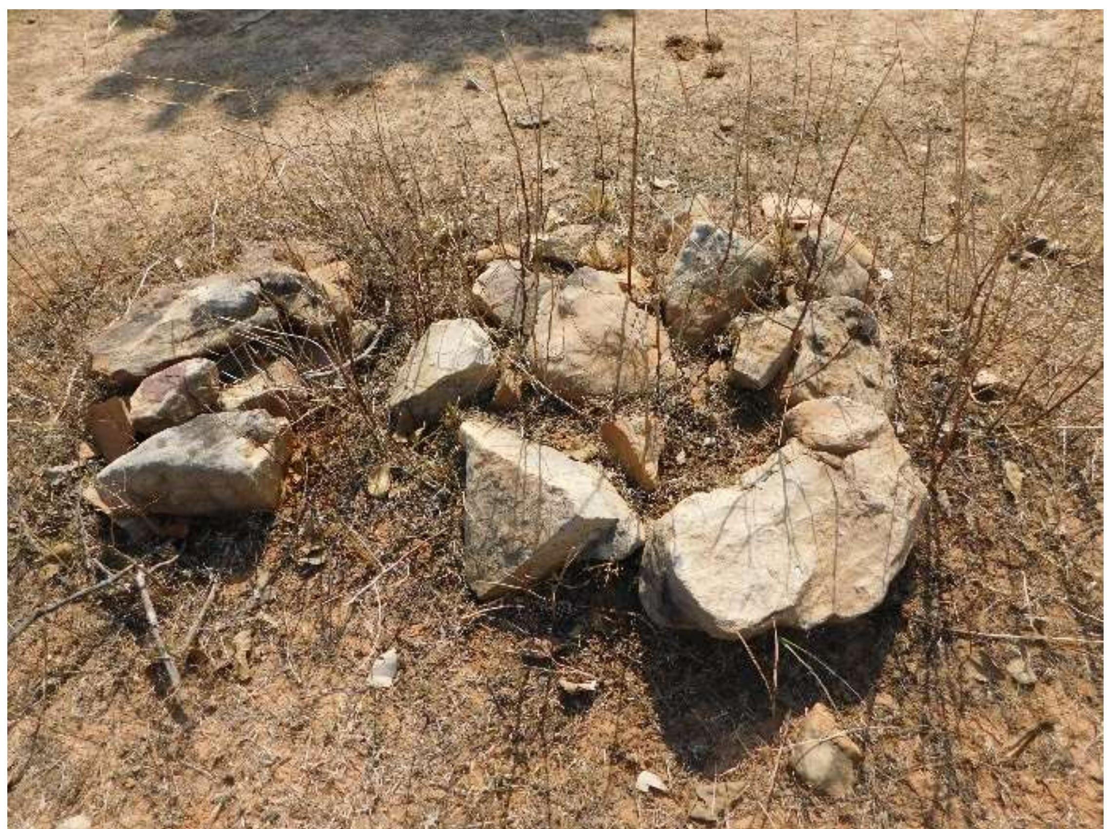 Fig. No. 4: Rock Painting and a Megalithic Structure from Chanainimana Mand (village Sorha)  Parwania: (83°36'45.6"E and 24°34'16.4"N, Elevation- 1831 ft): Parwania village is situated 13 kilometers south of the Adhaura Block and this site is on the eastern side of the village. This site is located on the right side of the path going to Tamtam Mand. A big stone is shelved into the ground and a few stone blocks have been placed around this stone. On the basis of this structure, it seems that it is a Menhir type megalithic structure. Although no other material has been found from the  surface. 