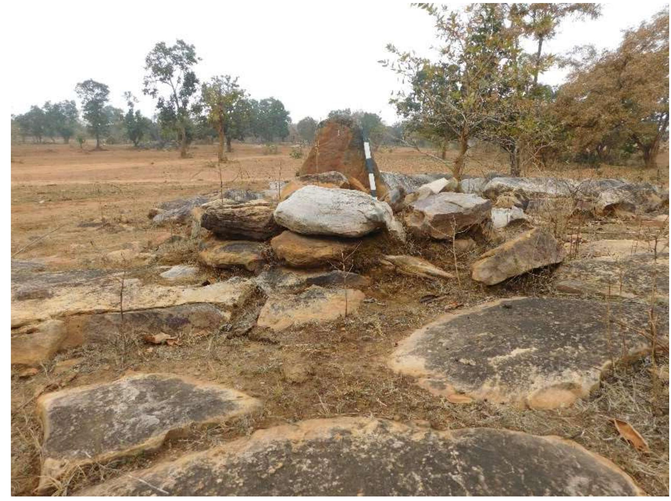 Fig. No. 07: General view of Megalith, Barikarak II 